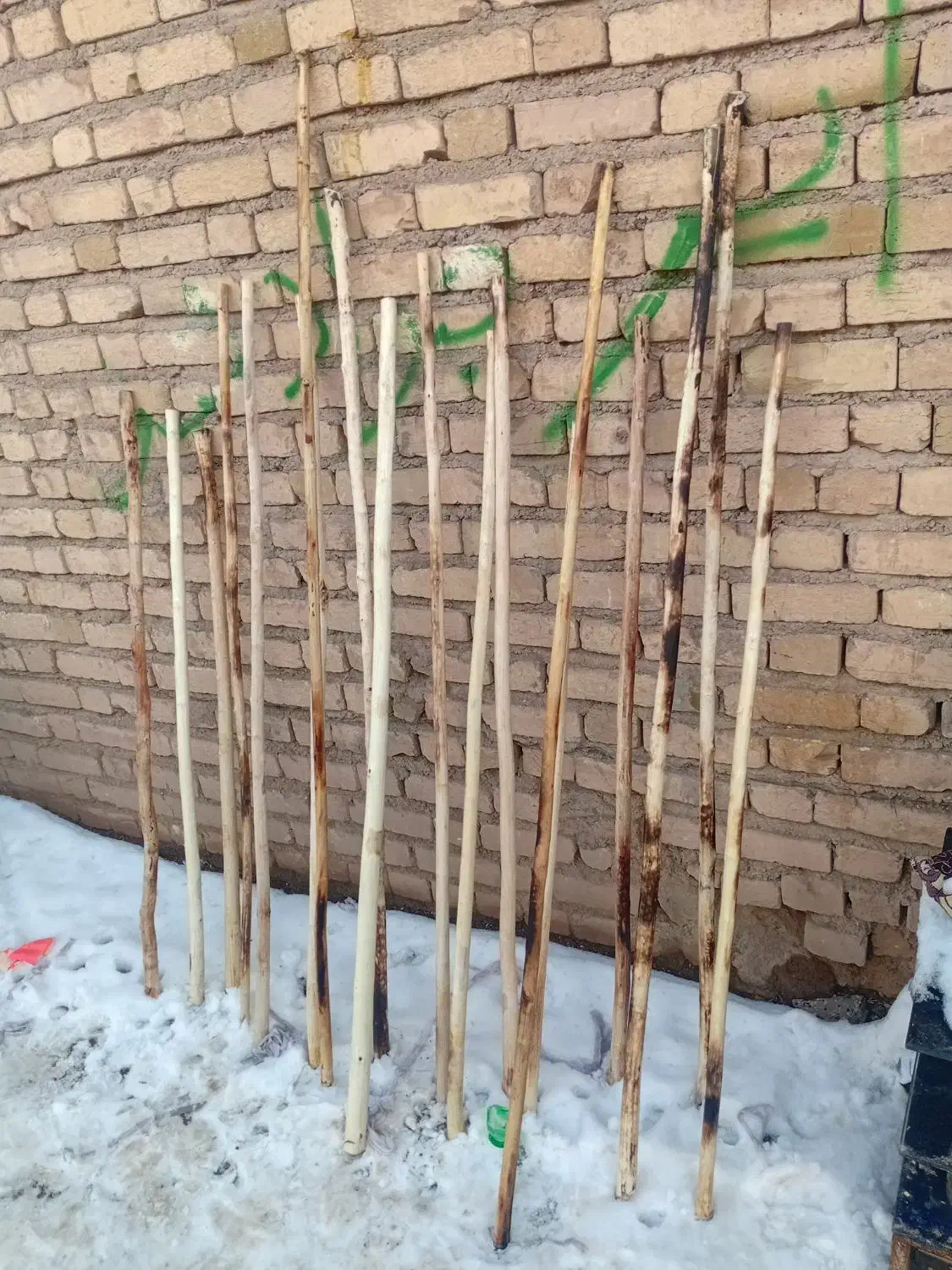 چوب دستی|لوازم جانبی حیوانات|دشتابی, |دیوار