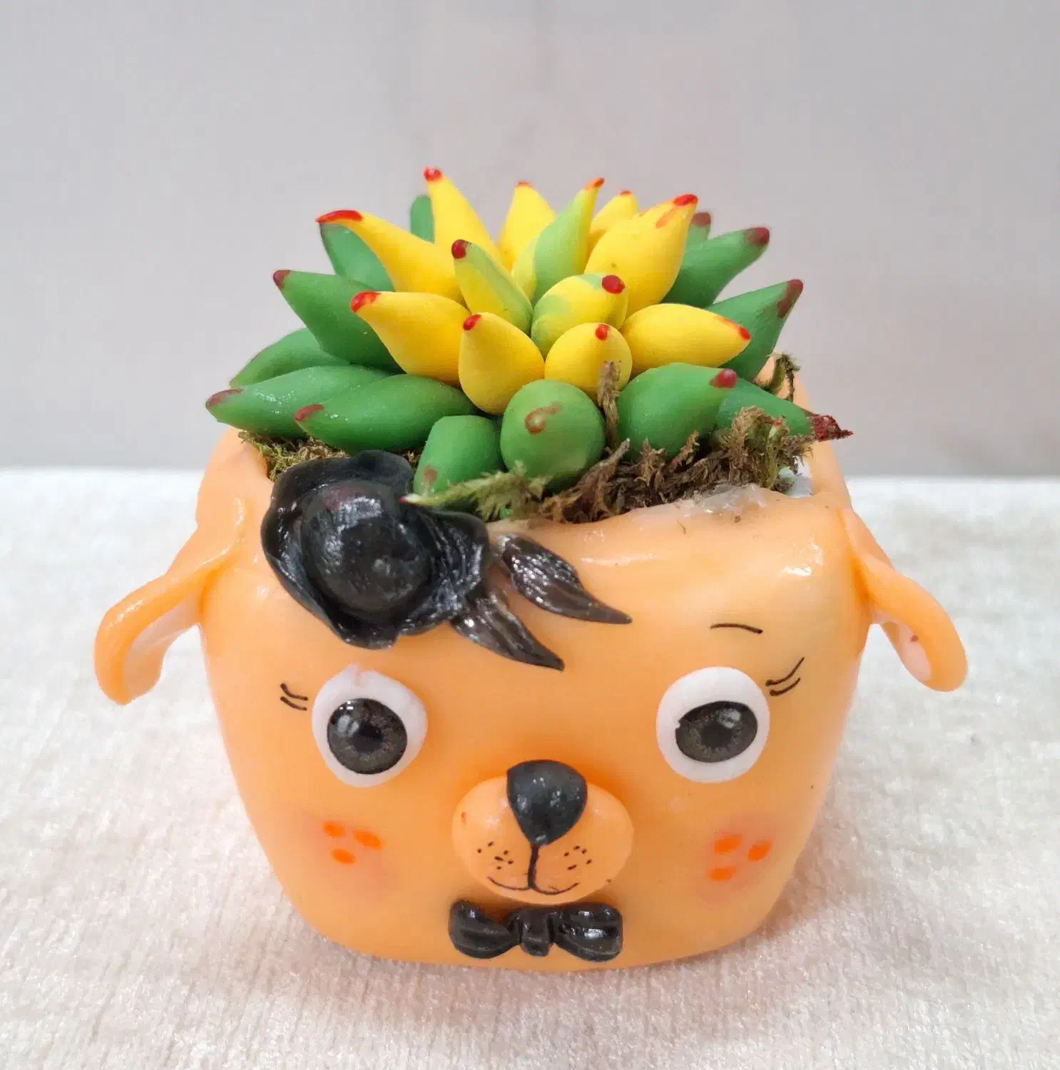 گلدان های فانتزی|کلکسیون و سرگرمی|قم, هنرستان|دیوار