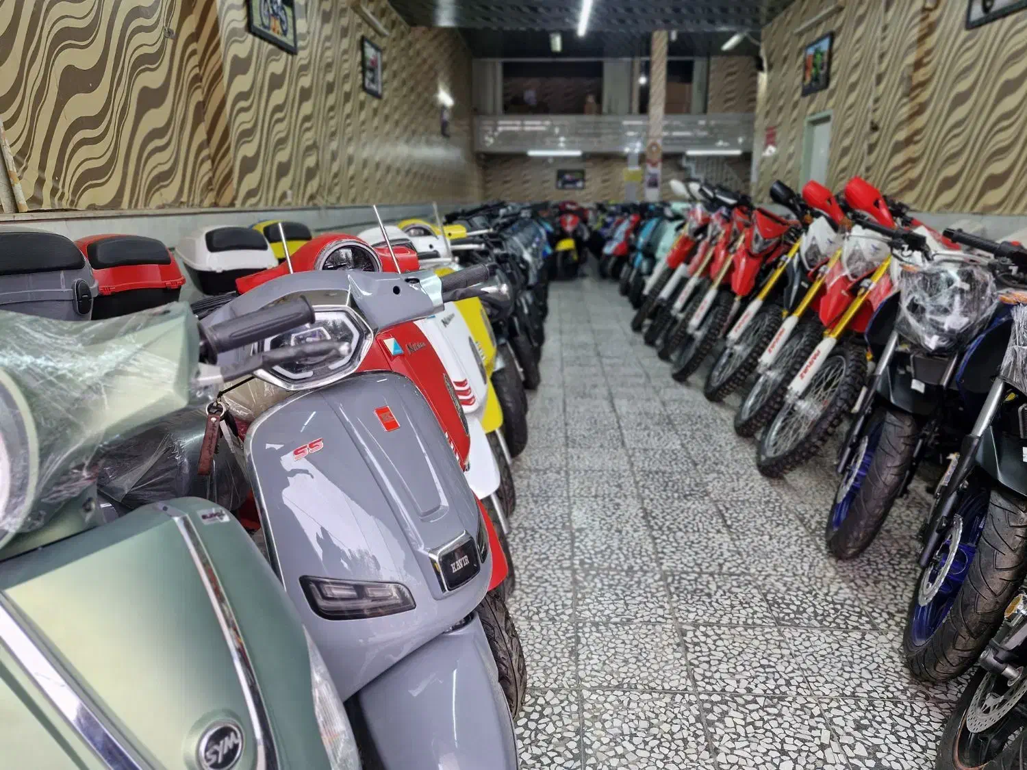 موتور سیکلت MS 1 کویر 50 سی سی/20 ماهه|موتورسیکلت|اصفهان, شهرک ولیعصر|دیوار