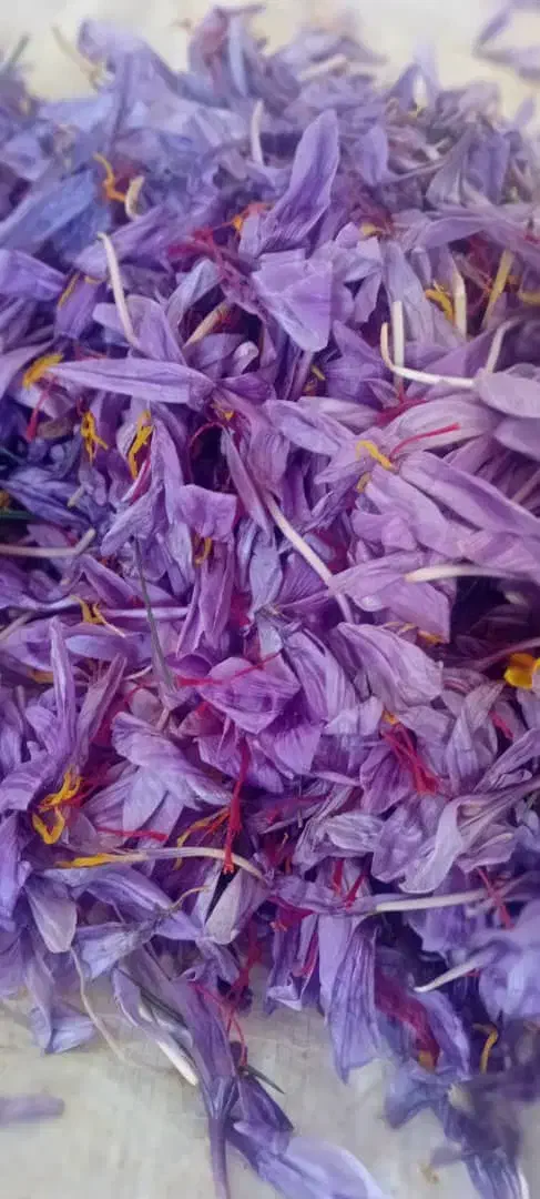 بهترین زعفران مشهد با عیار بالا|خدمات پذیرایی، مراسم|میان ولایت, |دیوار