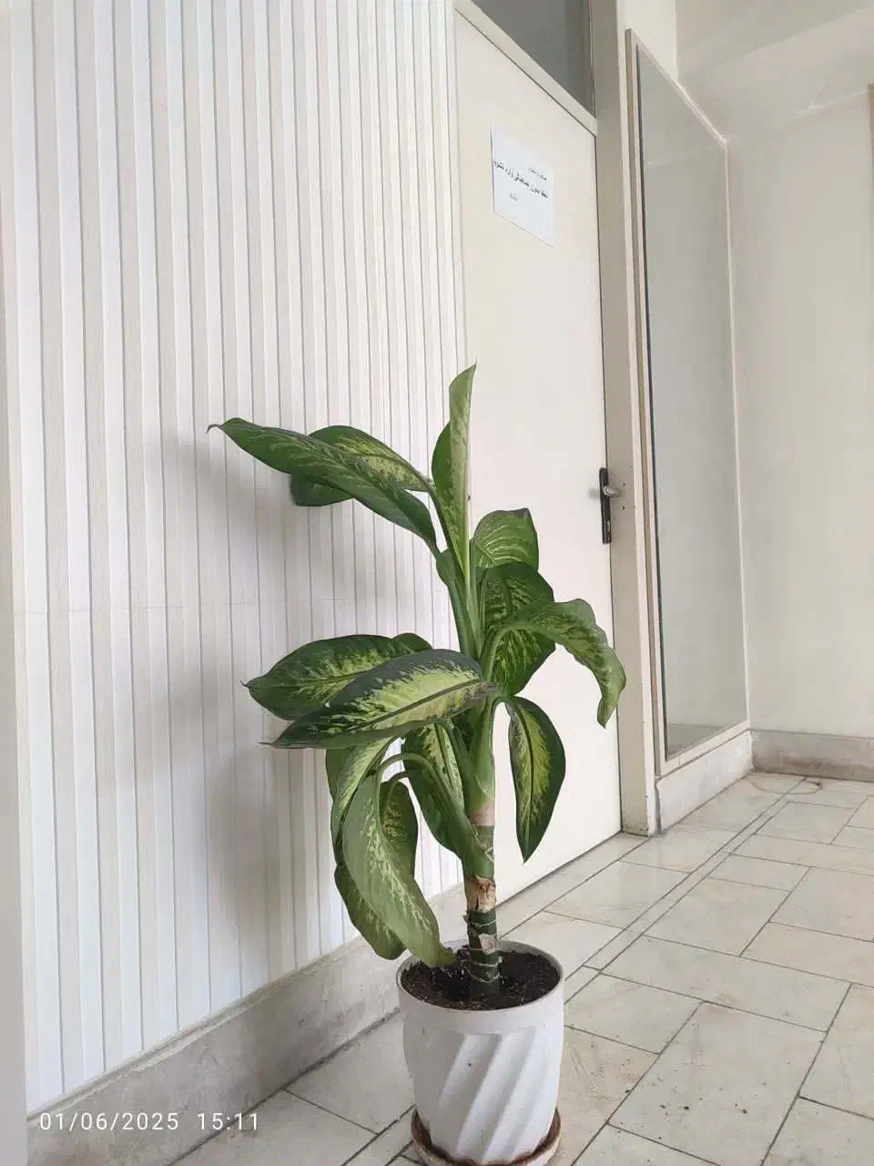 پنل فومی  منزل ، اداری ، کافه ،رستوران|مصالح و تجهیزات ساختمان|تهران, فردوس|دیوار