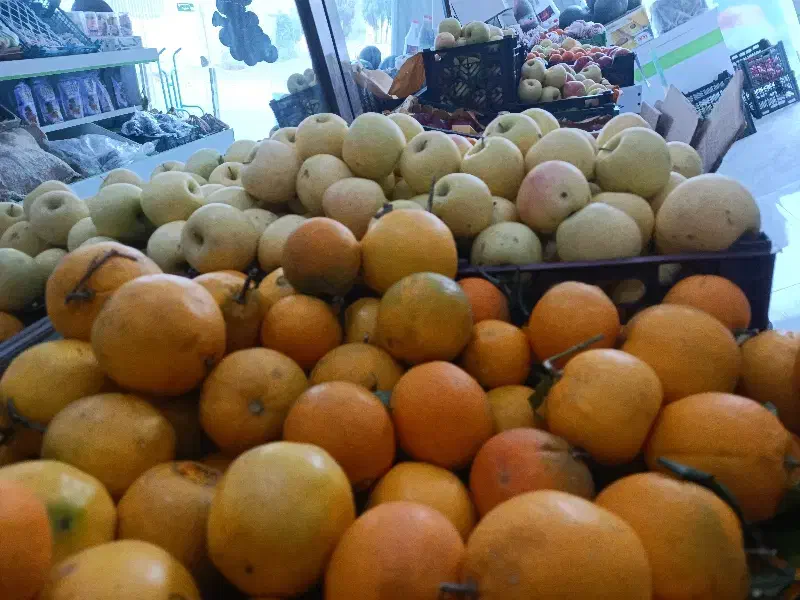 نیازمند نیرو|استخدام خدمات فروشگاه و رستوران|گلپایگان, |دیوار