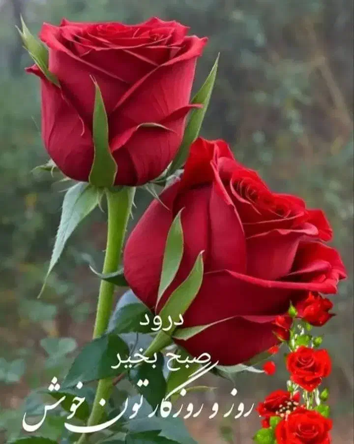 مطهری رهن کامل|اجارهٔ آپارتمان|رشت, خمیران زاهدان|دیوار