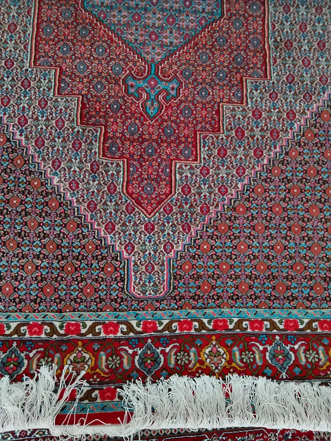 فرش کوردی|فرش|سنندج, |دیوار