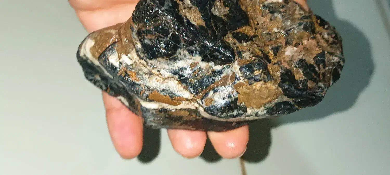 شهاب سنگ و سنگهای قیمتی|جواهرات|هشتگرد, فاز ۷ مهستان|دیوار