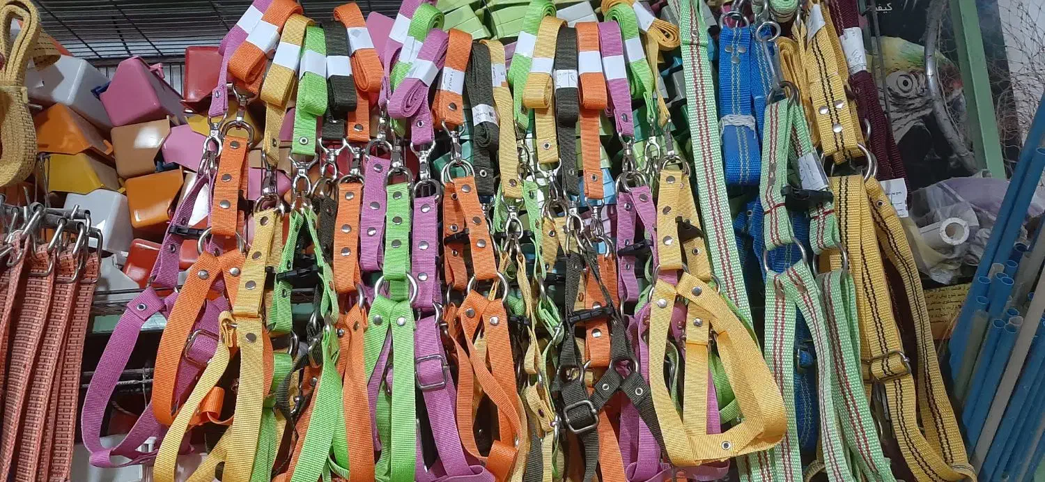 زنجیر|لوازم جانبی حیوانات|مسجد سلیمان, |دیوار