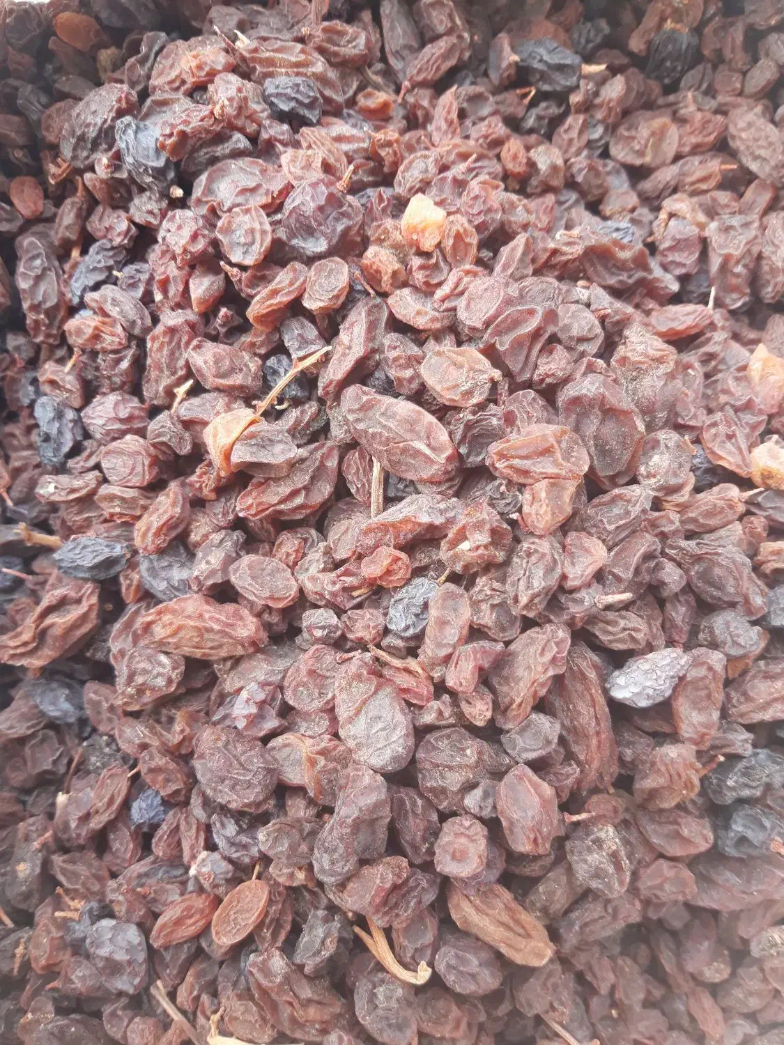 کشمش|خوردنی و آشامیدنی|کرمانشاه, |دیوار