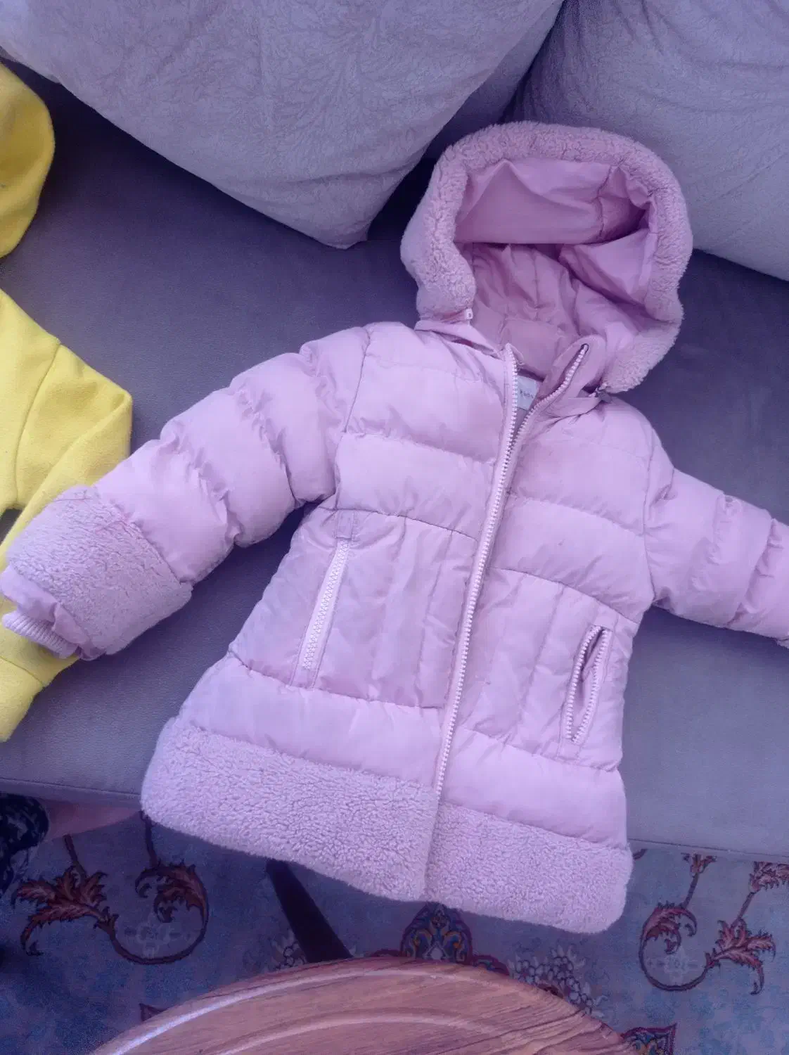 کاپشن و سوشرت|کفش و لباس بچه|میاندوآب, |دیوار