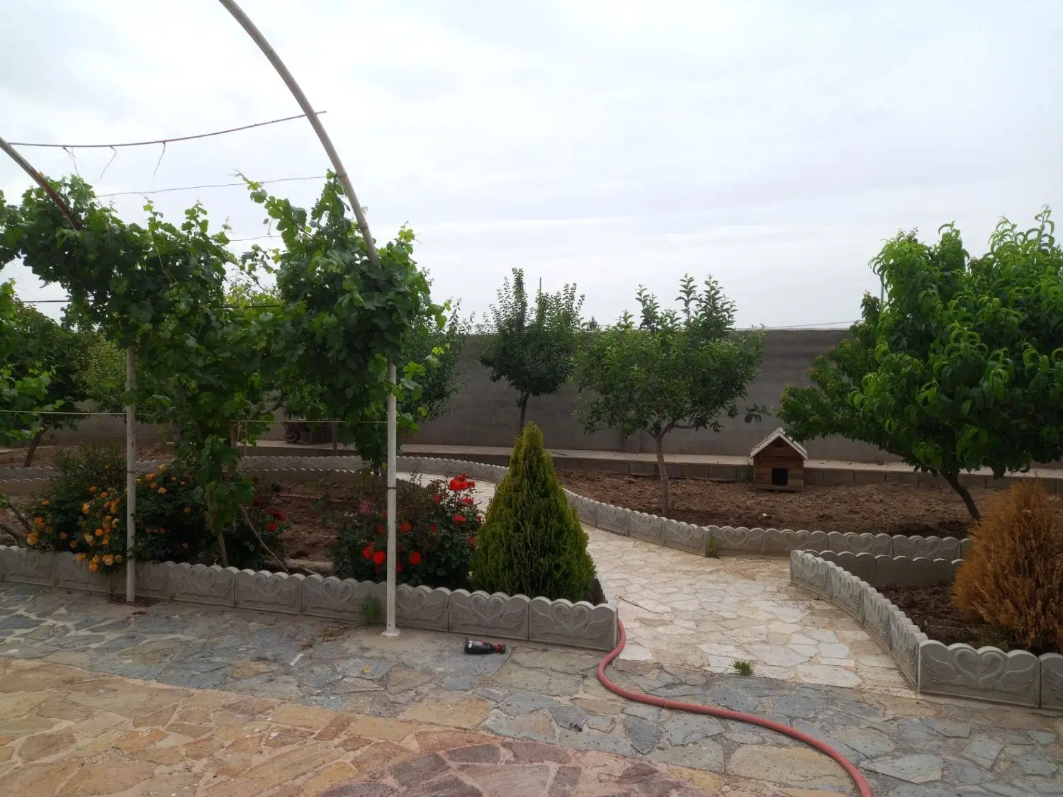 تصویر 4