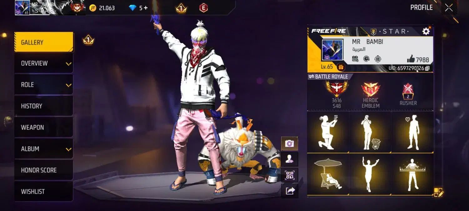 اکانت فری فایر لول65|کنسول، بازی ویدئویی و آنلاین|ری, کارخانه سیمان|دیوار