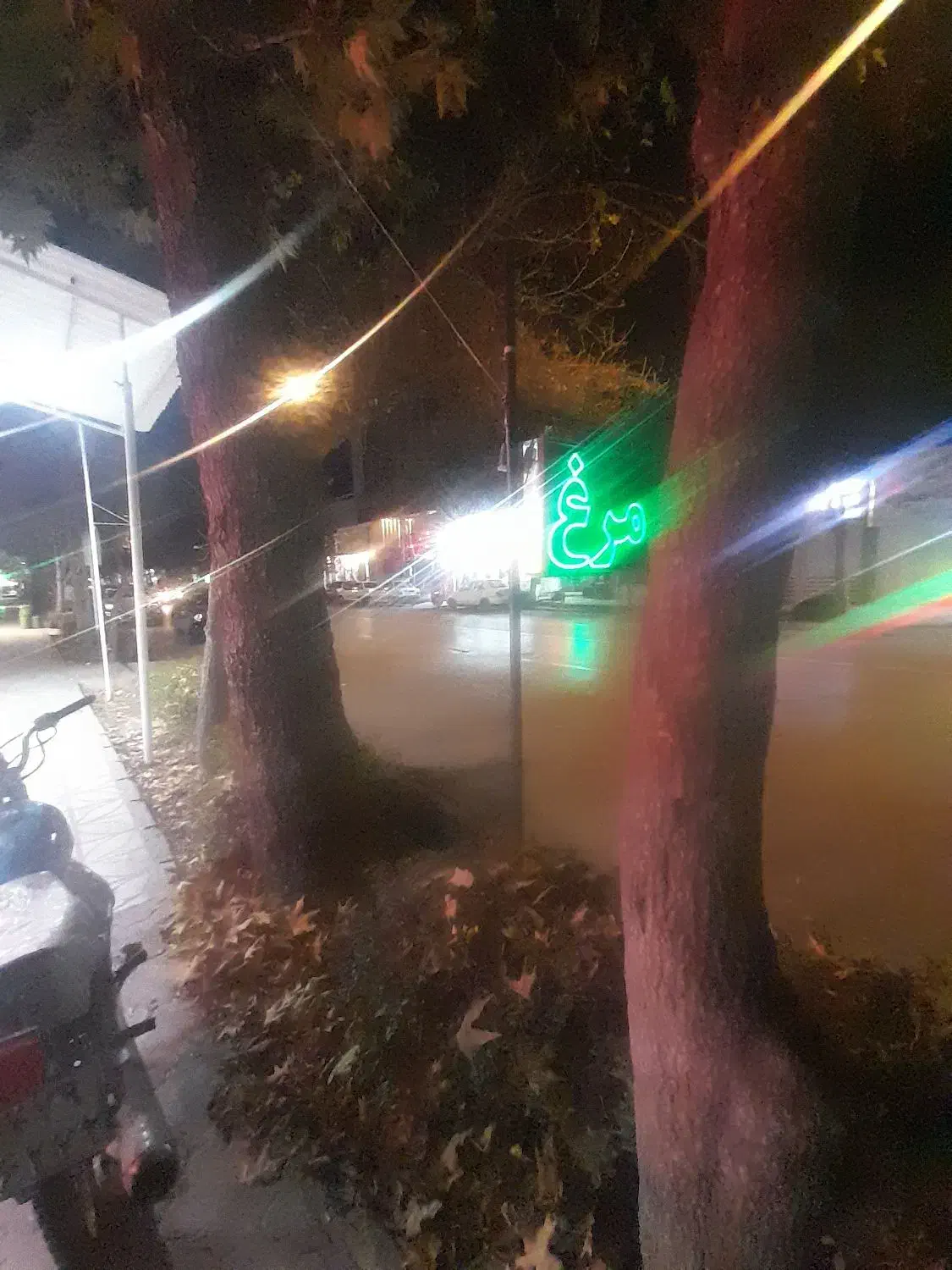 واگذاری مرغ فروشی با تجهیزات|فروشگاه و مغازه|بجنورد, |دیوار