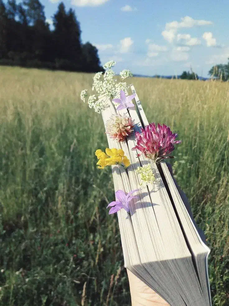 زمین کشاورزی با آب فصلی|فروش دفتر صنعتی، کشاورزی، تجاری|شاهین دژ, |دیوار