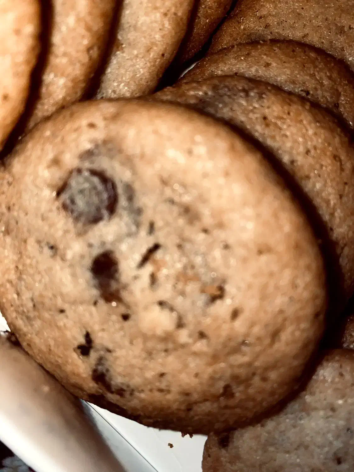 کوکی|خوردنی و آشامیدنی|مشهد, زیبا شهر|دیوار