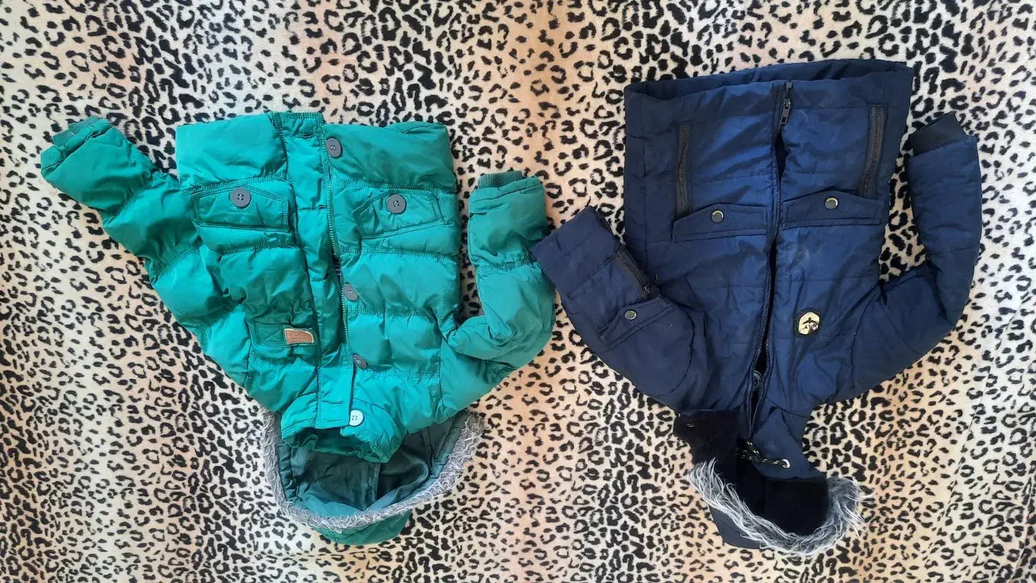 کاپشن پسرانه|لباس|بروجرد, |دیوار