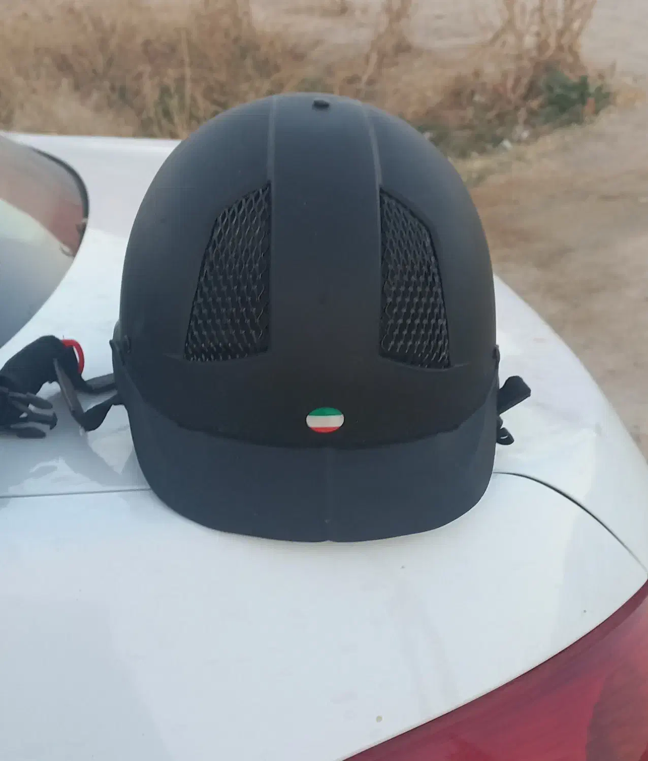 شخصی|اسب و تجهیزات اسبسواری|شیراز, آزادی|دیوار