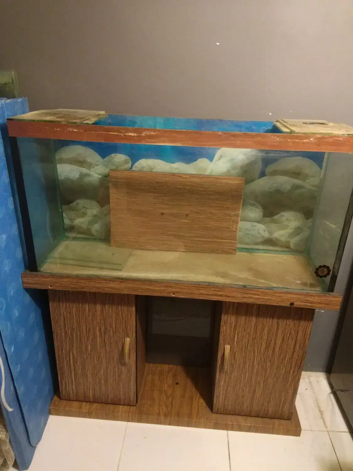 چند عدد آکواریوم|ماهی|تهران, گلاب دره|دیوار