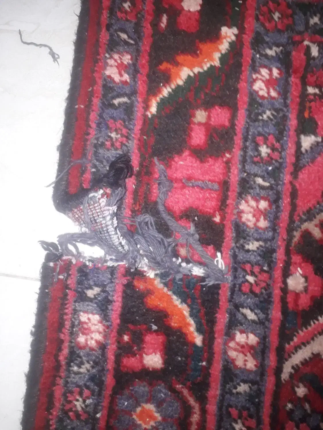 فرش دستبافت|فرش|قزوین, |دیوار