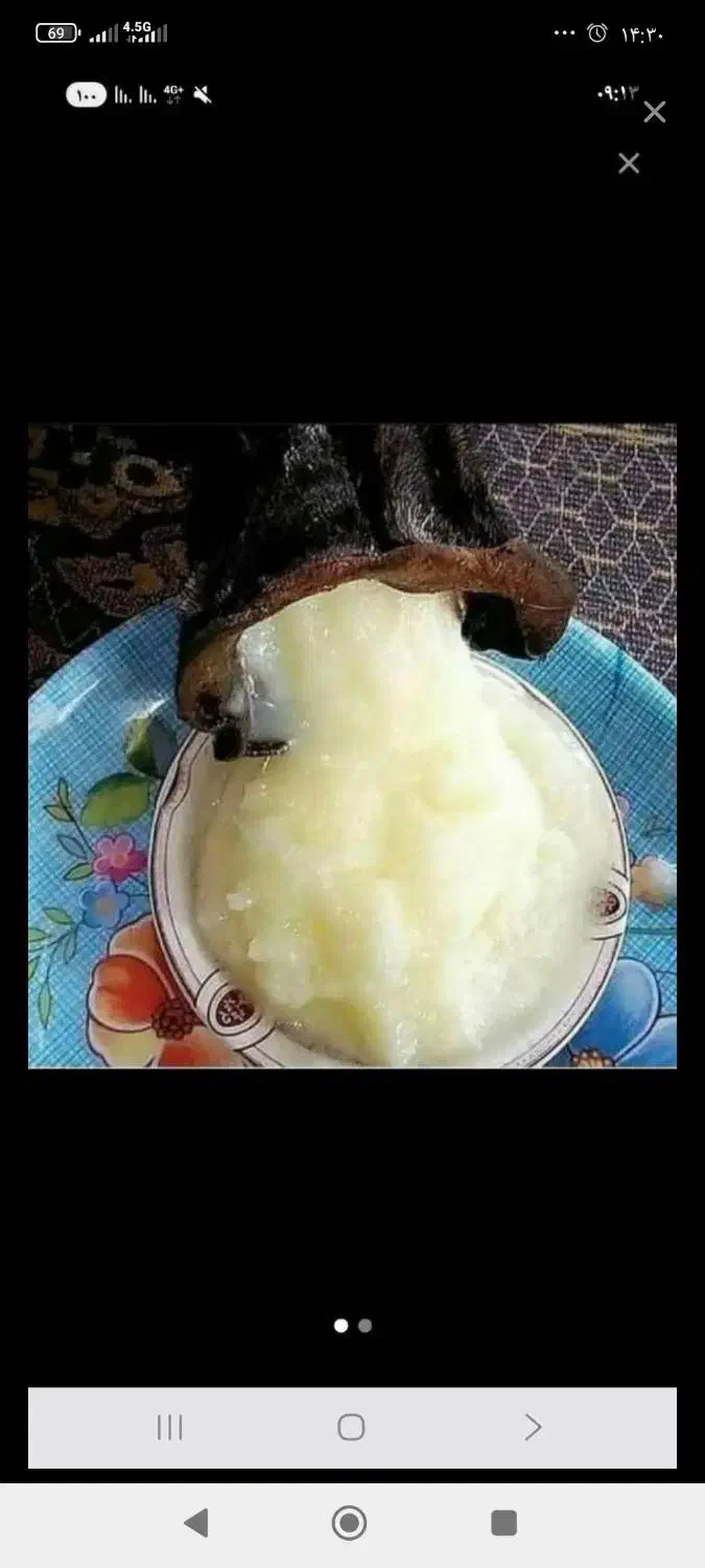 روغن حیوانی گوسفندی|خوردنی و آشامیدنی|جوانرود, |دیوار