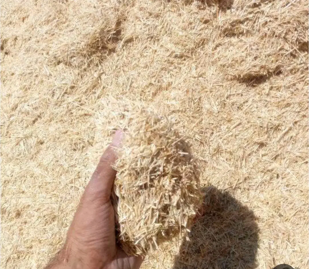 گندم کاه|حیوانات مزرعه|فرمهین, |دیوار