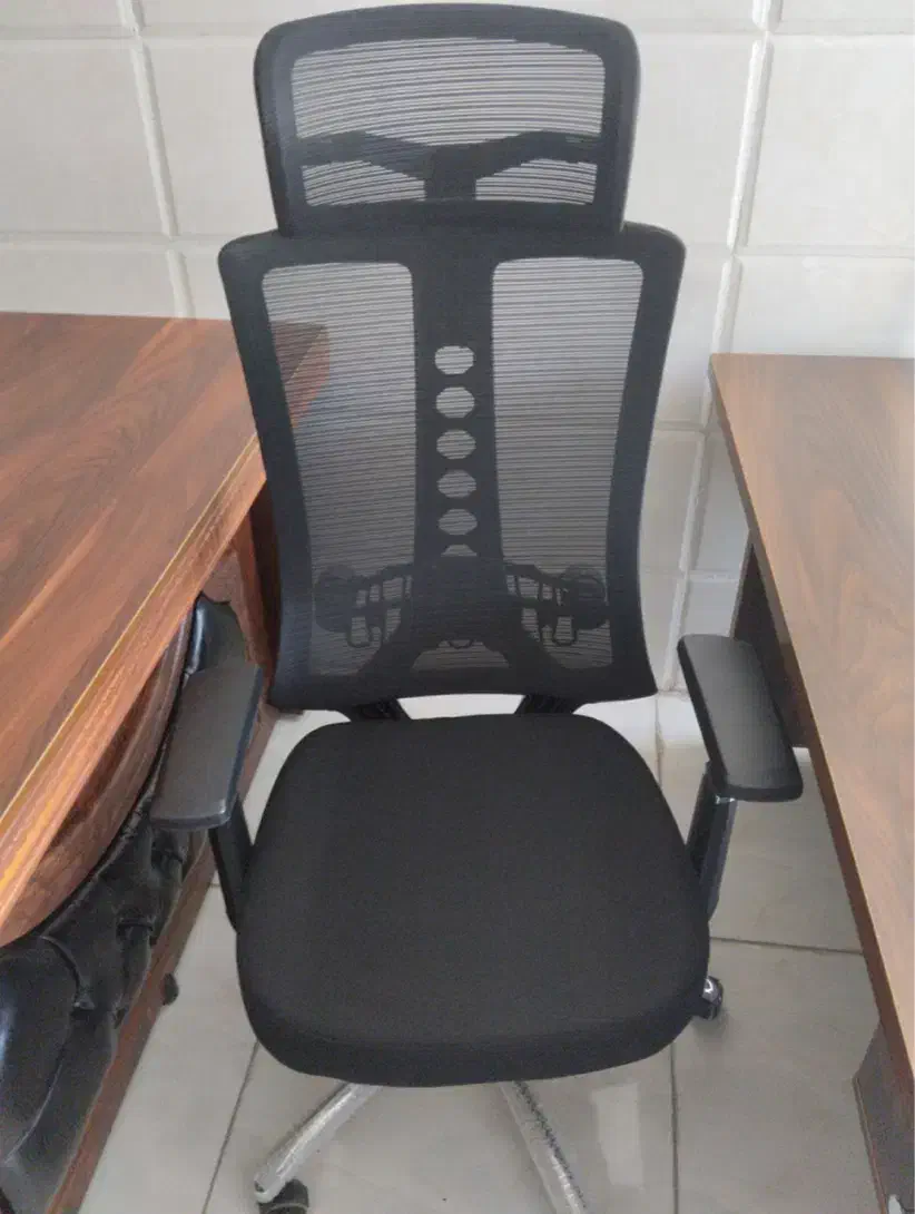 صندلی گردان نو|صندلی و نیمکت|یزد, |دیوار