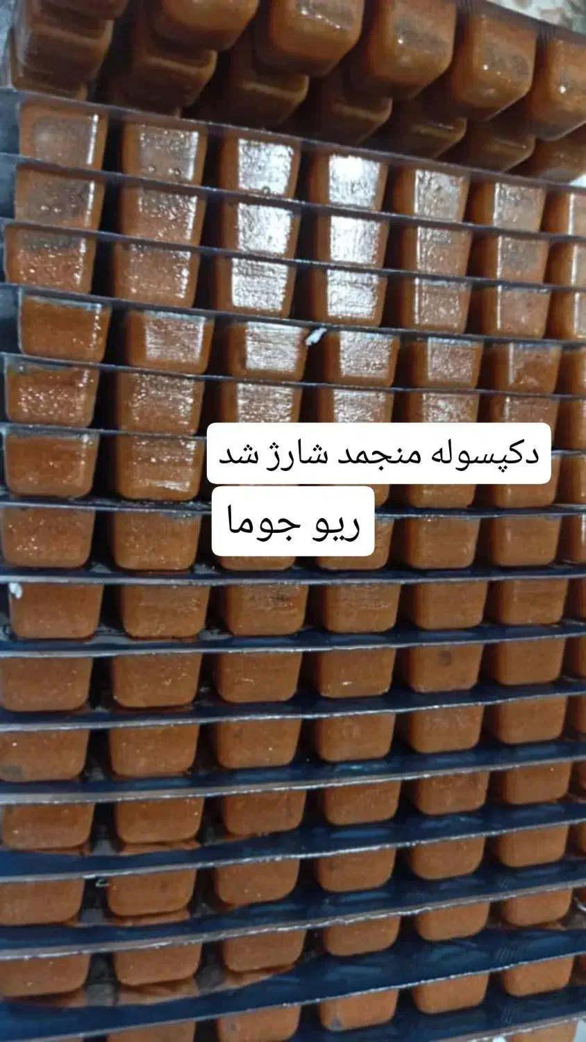 غذا ماهی منجمد|ماهی|زاهدان, |دیوار