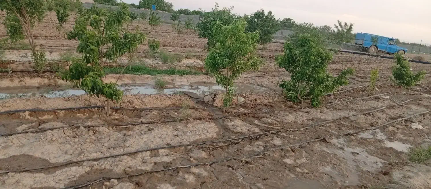 باغچه نقلی ویلایی ۳۷۰متر|فروش خانه و ویلا|شبستر, |دیوار