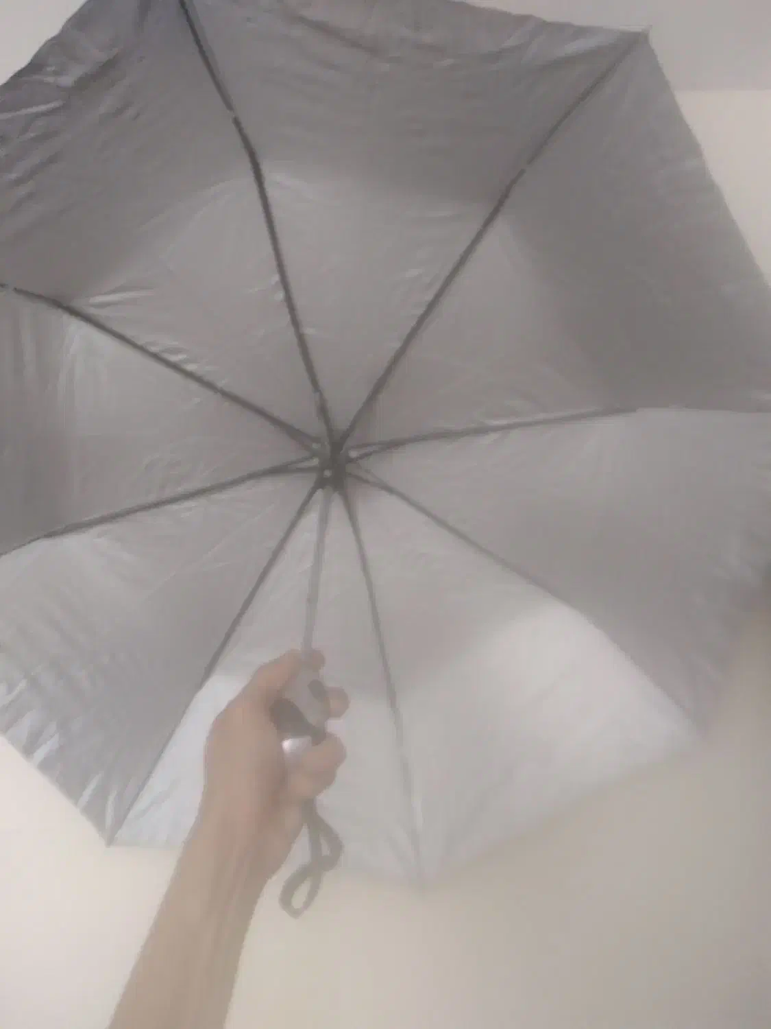 چتر مشکی|کوهنوردی و کمپینگ|اصفهان, شیخ اشراق|دیوار