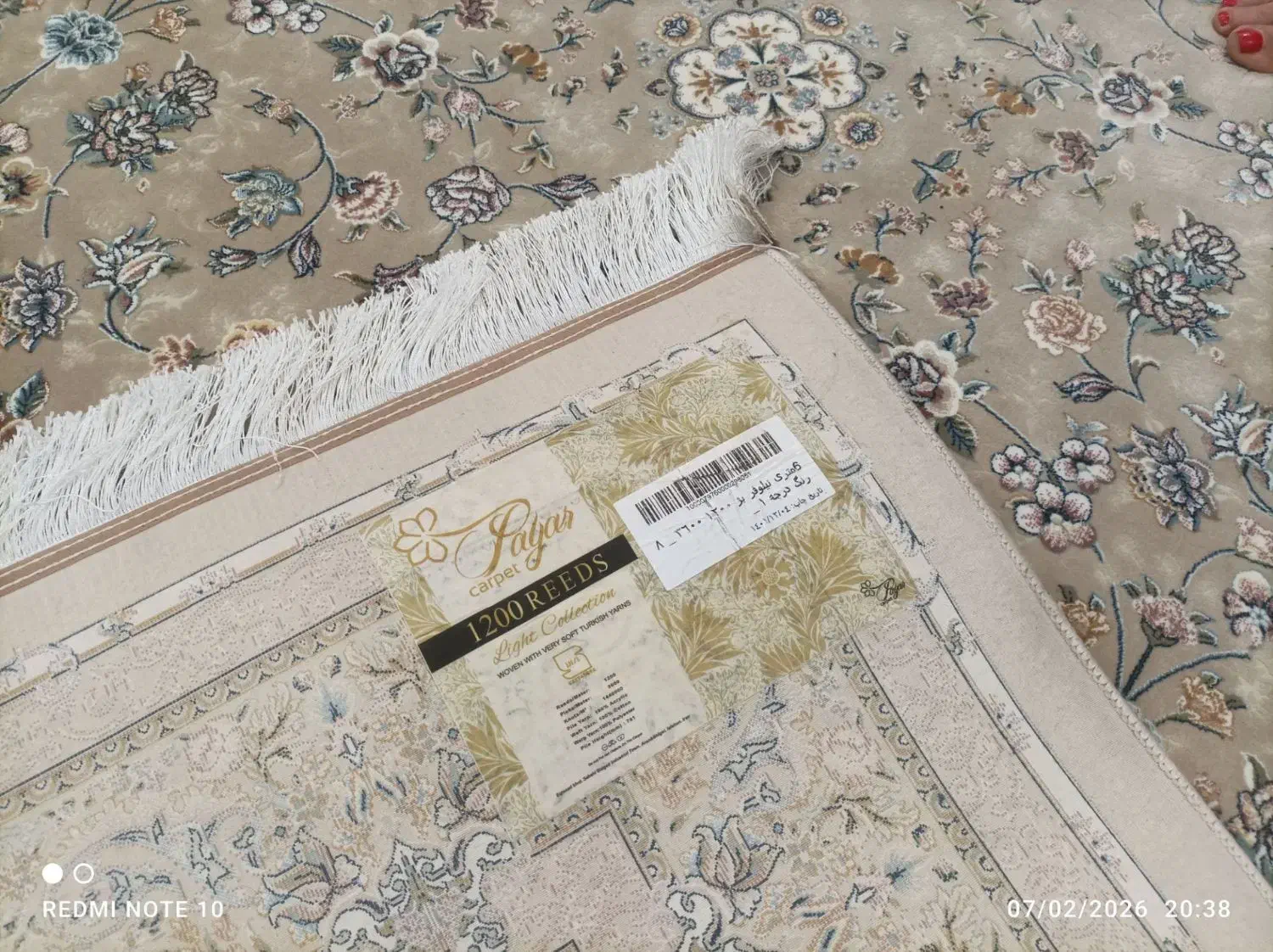 فرش ۶متری نو|فرش|رشت, چمارسرا|دیوار