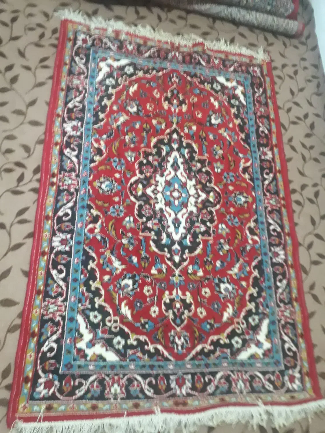 دو عدد فرش ماشینی|فرش|بندر انزلی, صابرحنان|دیوار