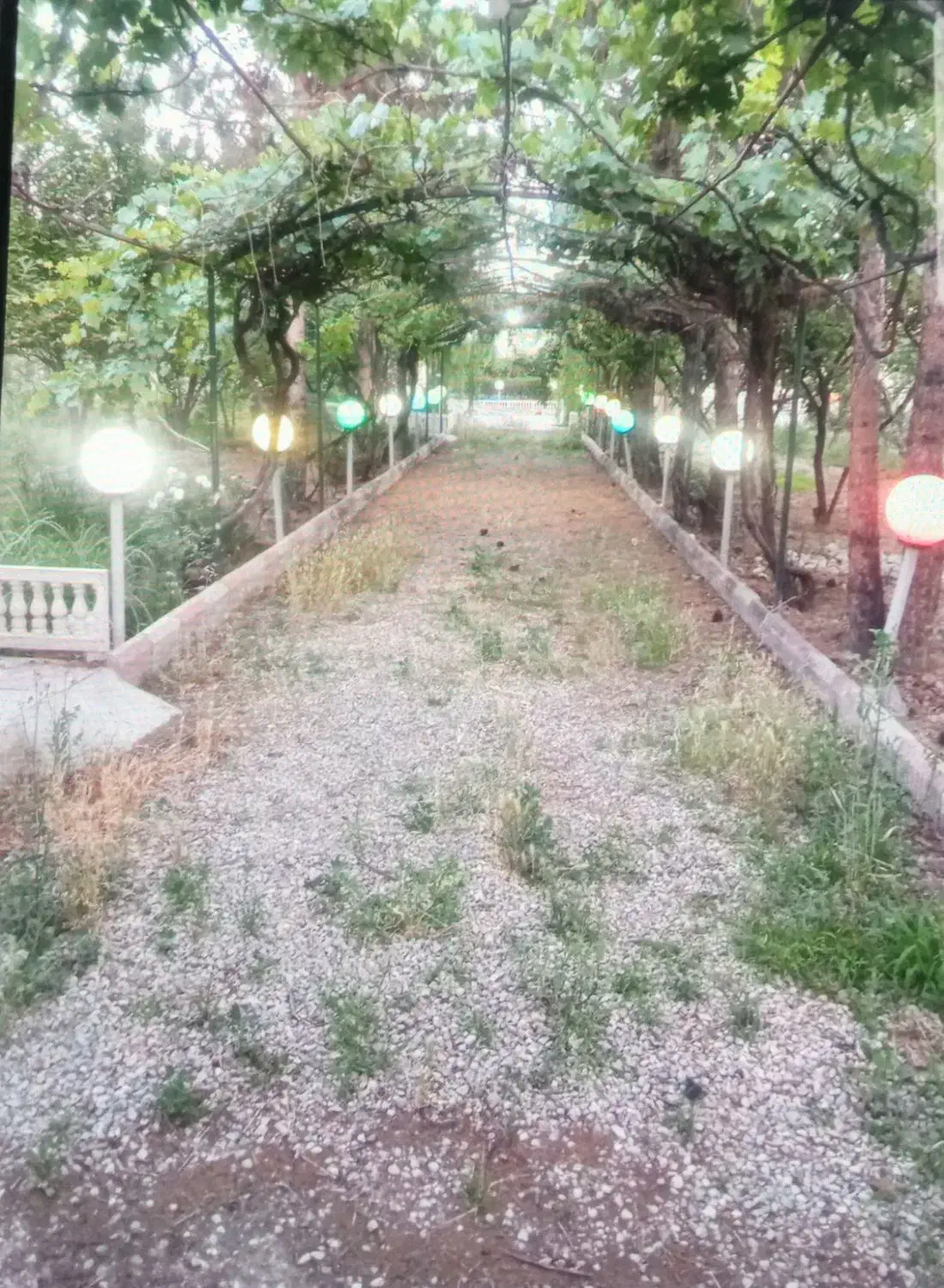 باغ ویلا استخردار پارکینگ PS|اجارهٔ کوتاهمدت ویلا و باغ|چهاردانگه (تهران), |دیوار