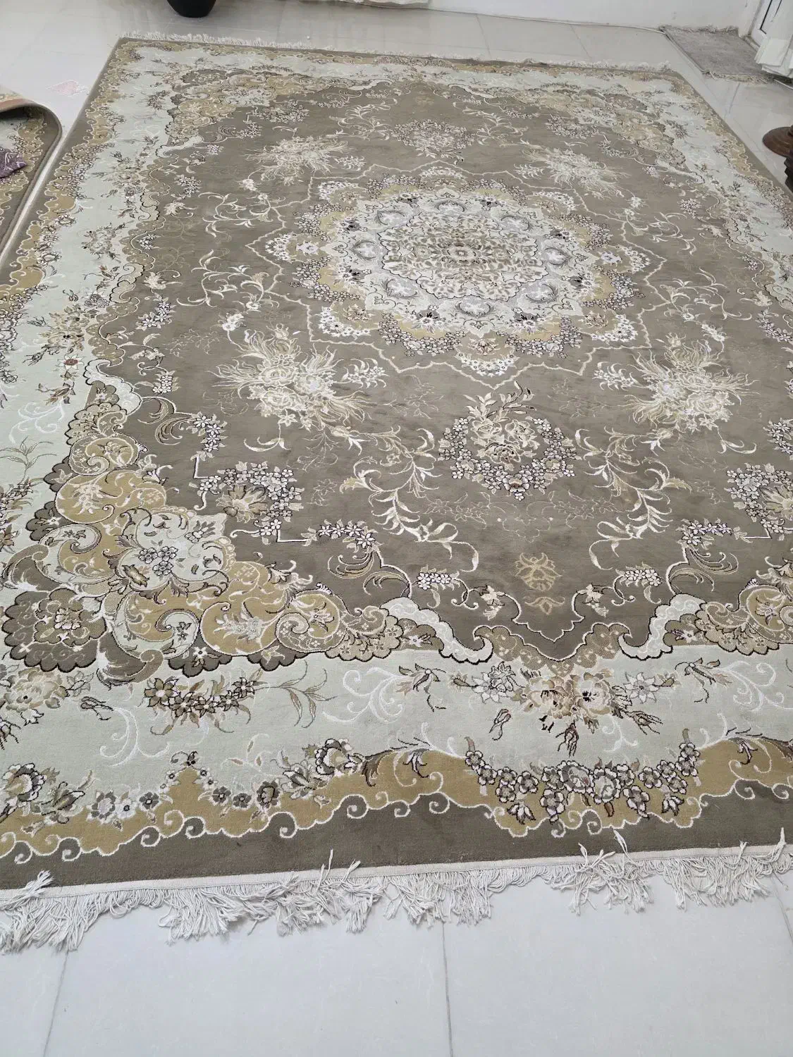 فرش|فرش|بندرعباس, |دیوار