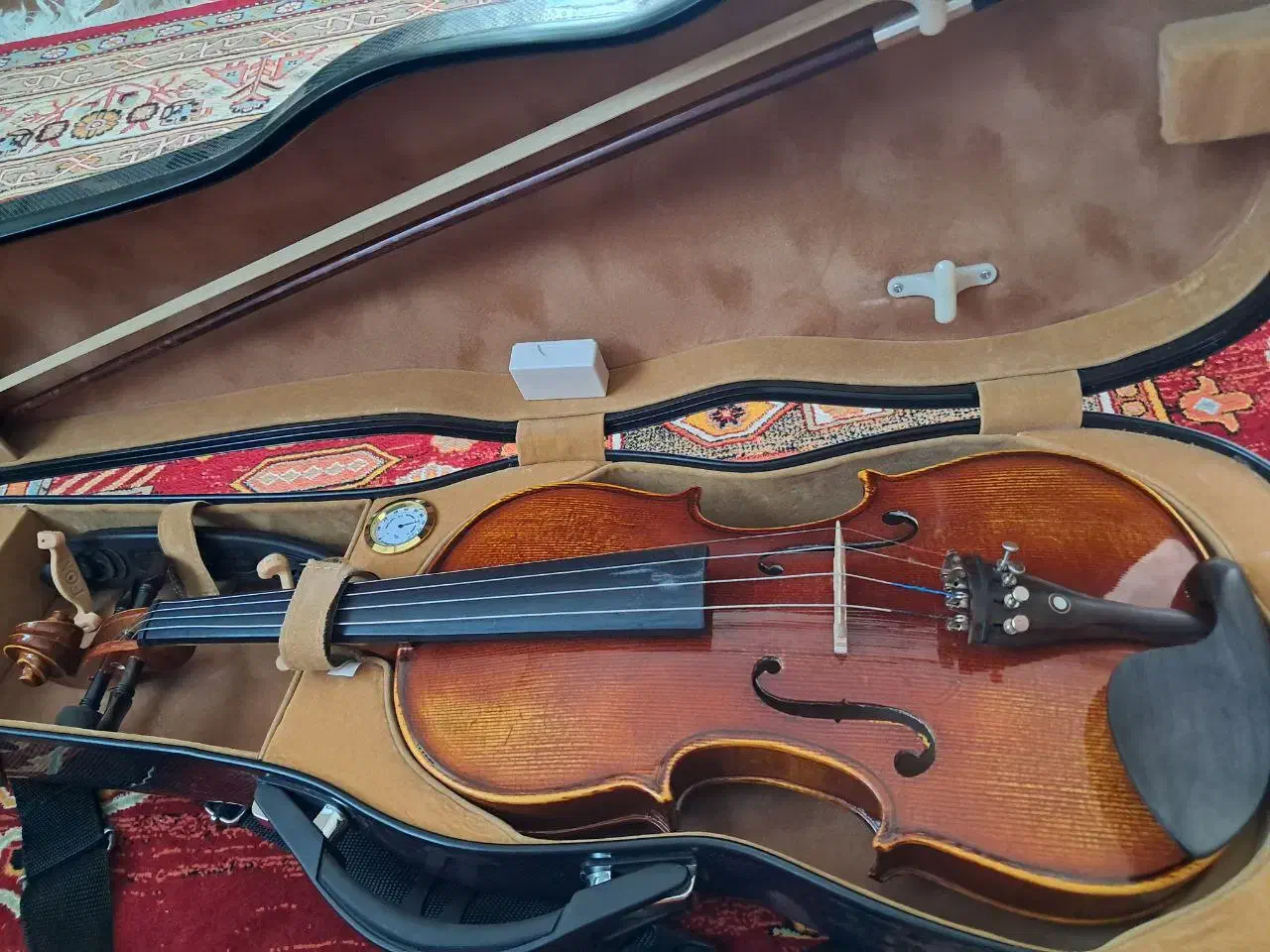 فروش ویولن حرفه ای Professional|ویولن|اصفهان, ناژوان|دیوار