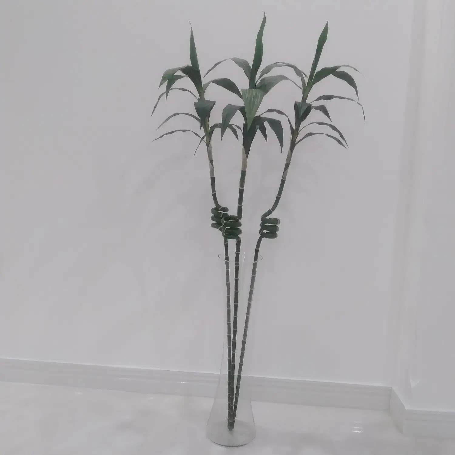 سه عددشاخه بامبوبهمراه گلدان شیشه ای|گل مصنوعی|رشت, حمیدیان|دیوار