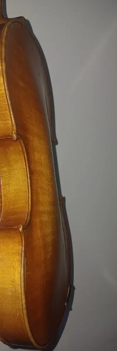 ویولن اشتاینر آلمانی|ویولن|لواسان, |دیوار