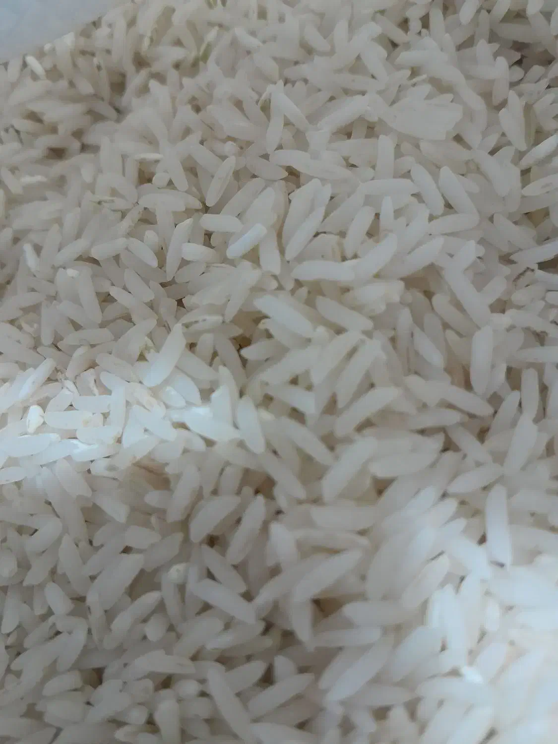 برنج دمسیاه تیل آباد باعطرعالی|خوردنی و آشامیدنی|آزادشهر, |دیوار