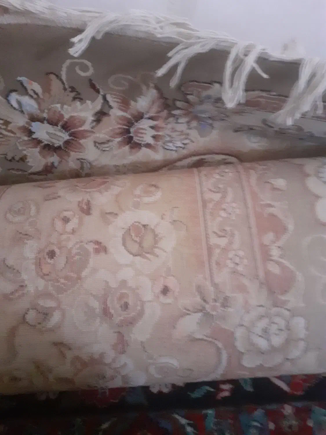 فرش|فرش|شوش, |دیوار