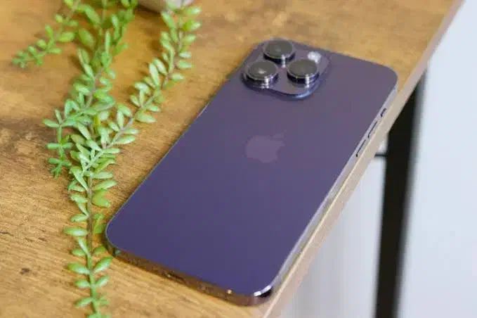 ایفن ۱۴ پرو مکس|موبایل|یاسوج, |دیوار