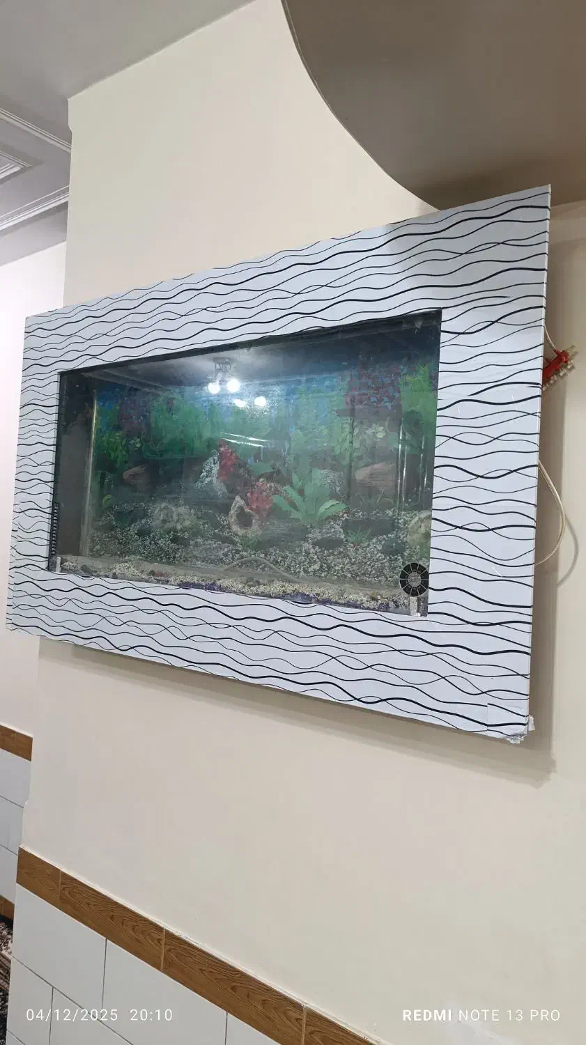 آکواریوم|ماهی|بروجن, |دیوار