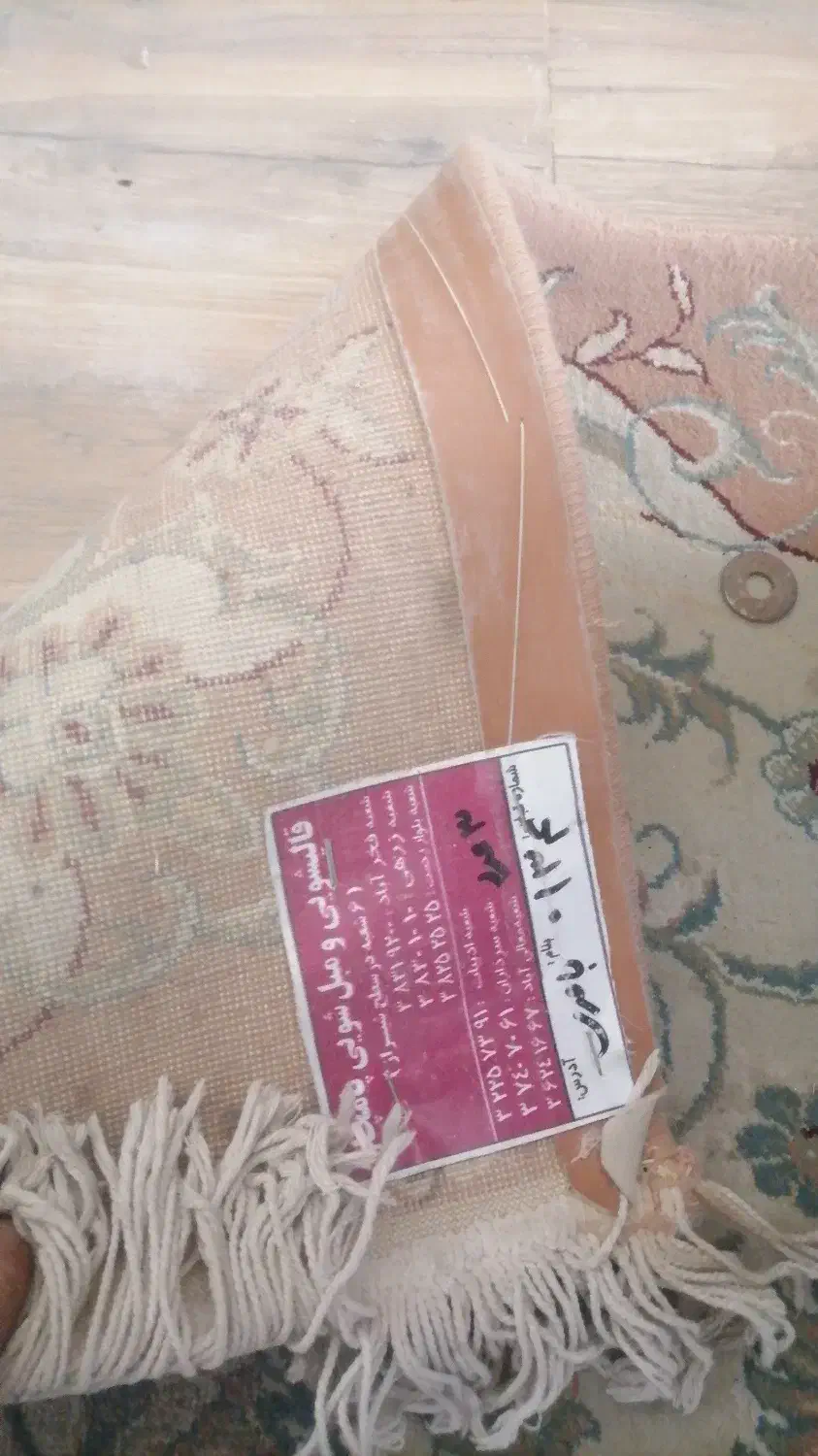 حراج فوری تا ظهر شنبه|اجاق گاز و لوازم برقی پختوپز|شیراز, حومه شیراز|دیوار