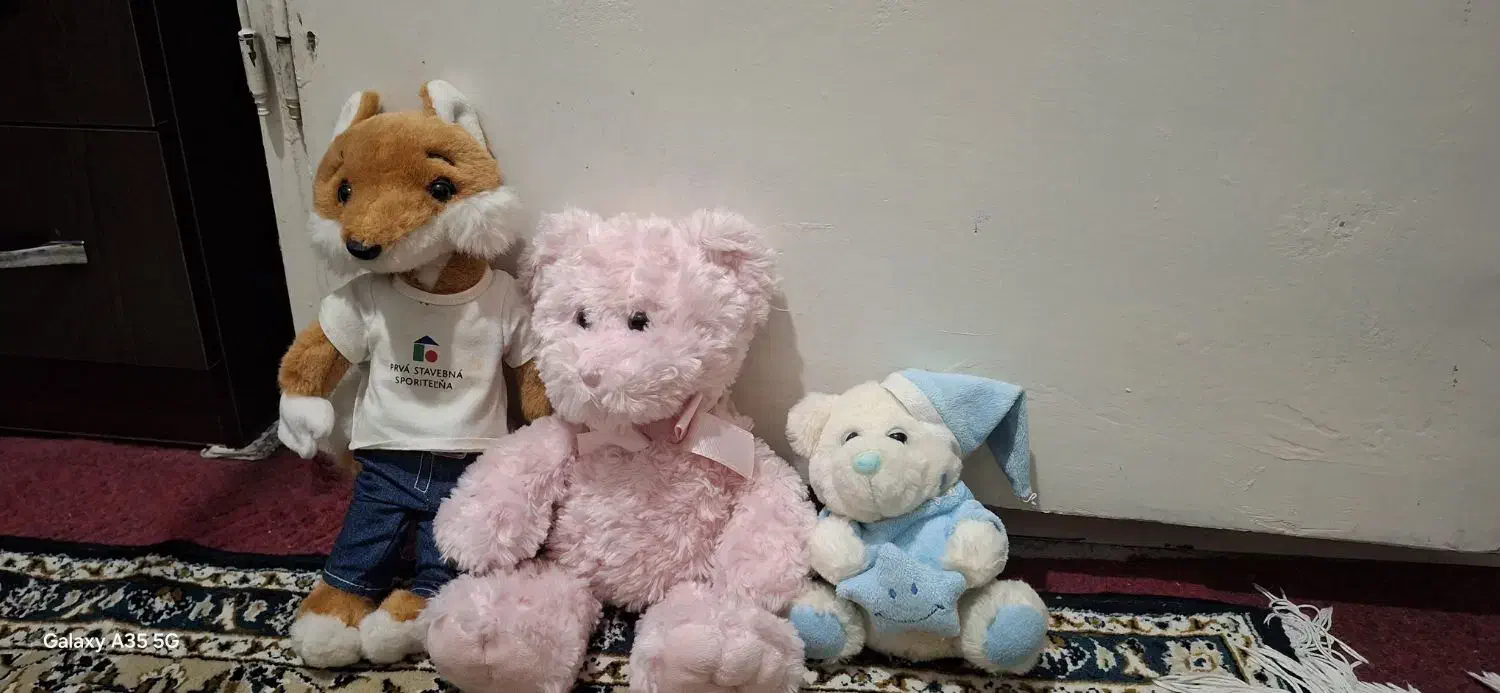 خرس در حد نو|اسباب‌بازی بچه|رباط‌کریم, رباط‌کریم|دیوار