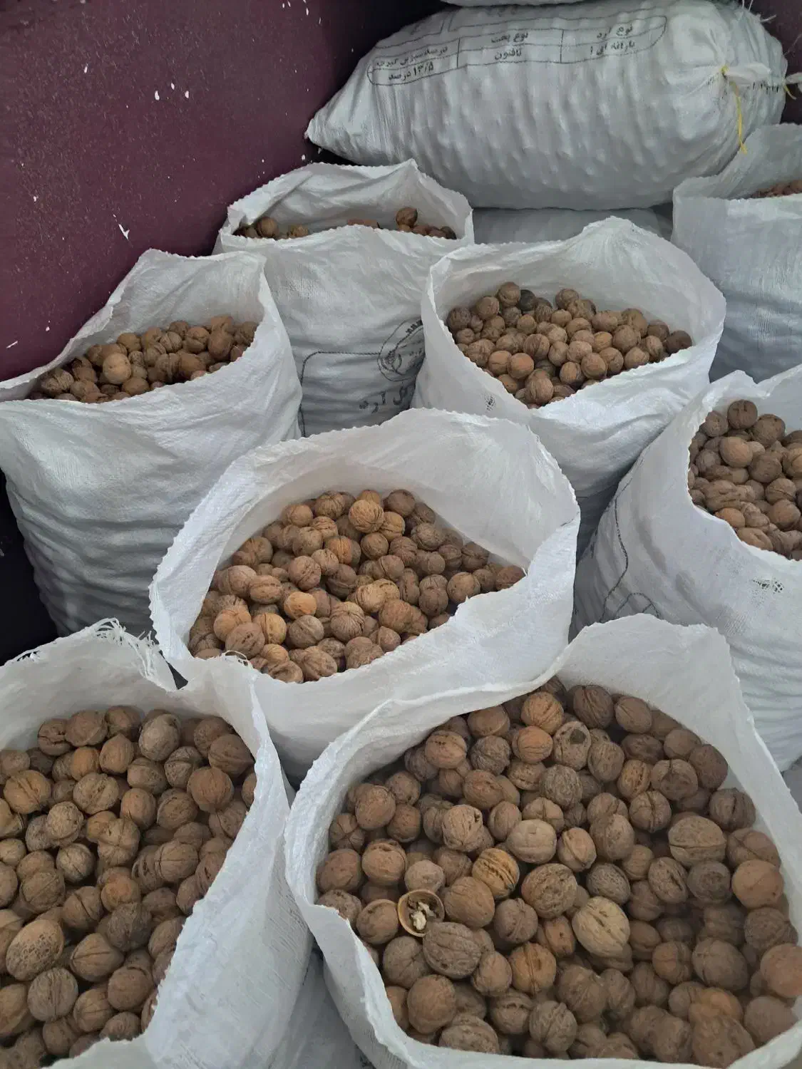 خرید فروش گردو از ضعیف گرفته تا خوب درجه یک|خوردنی و آشامیدنی|درب بهشت, |دیوار