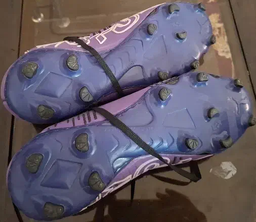 کفش چمنی|تجهیزات ورزشی|زارچ, |دیوار