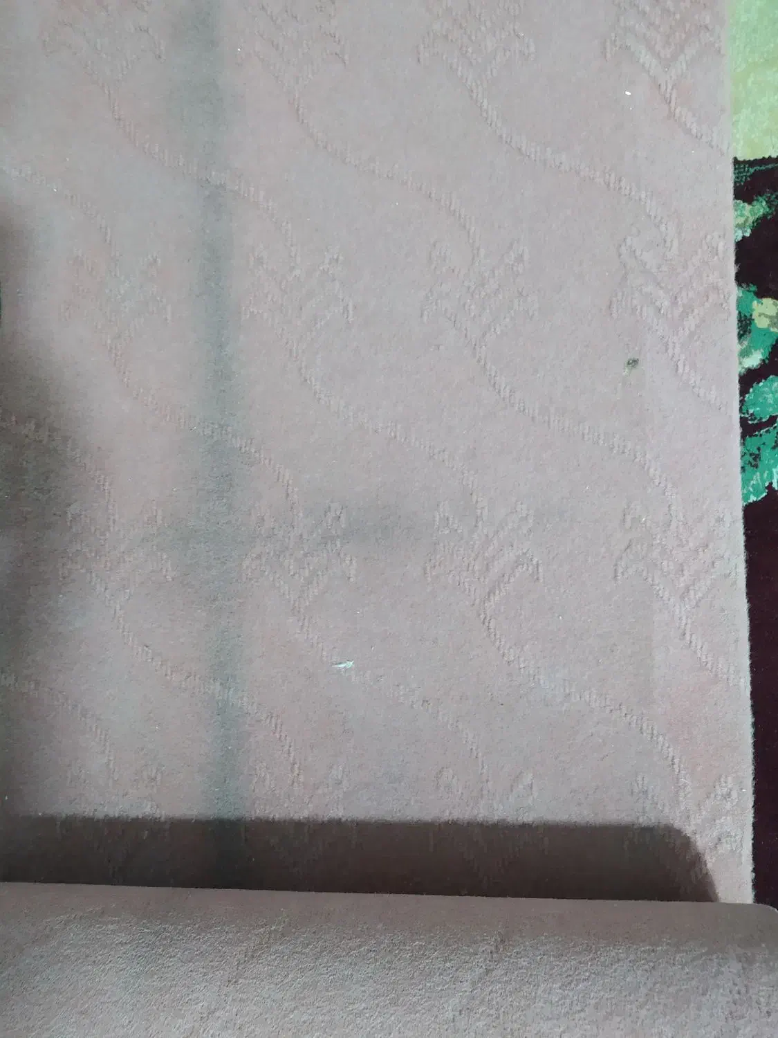 موکت|موکت|زنجان, |دیوار