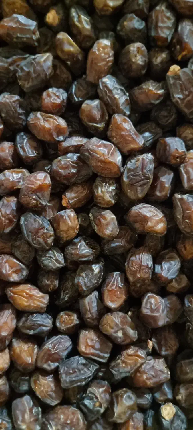 خرما درجه یک صادراتی و چیپش خرما پیارم|عمده‌فروشی|تهران, تهرانپارس جنوبی|دیوار