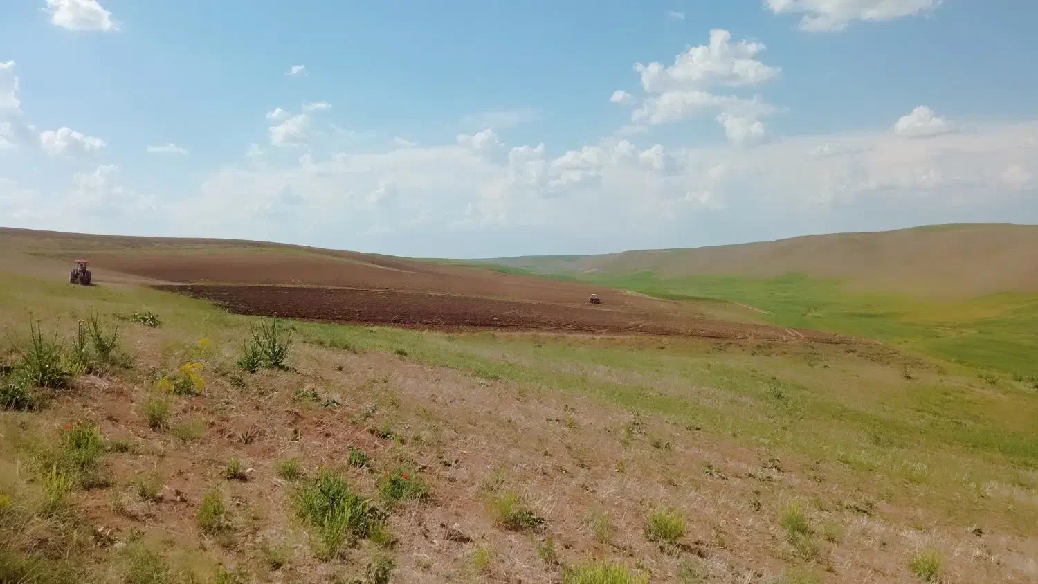 زمین کشاورزی دیم ۱۲ تغار سند دار(۱۲کیسه)|فروش دفتر صنعتی، کشاورزی، تجاری|دیواندره, |دیوار