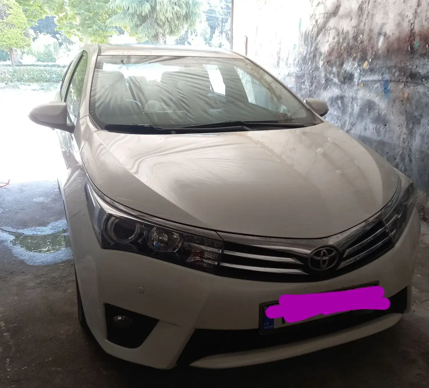 پولیش حرفه ایی و واکس تخصصی|خدمات موتور و ماشین|آستارا, |دیوار