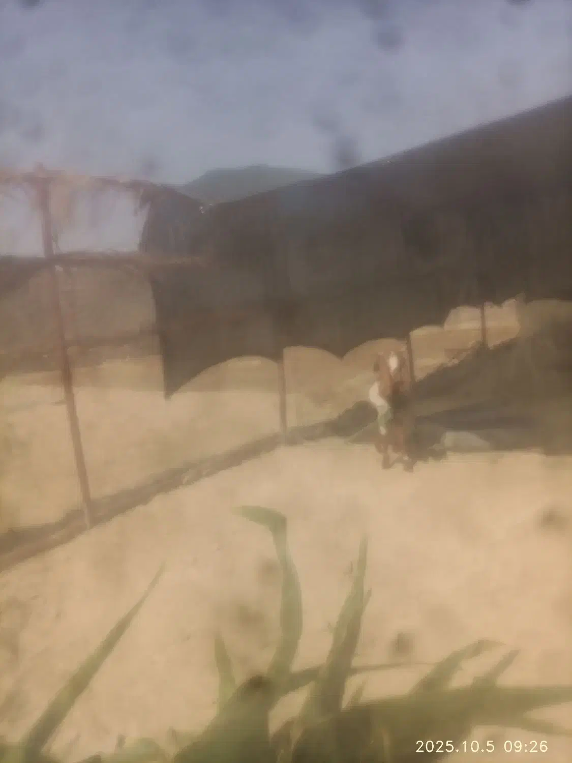 زمین|فروش زمین و ملک کلنگی|دشتیاری, |دیوار