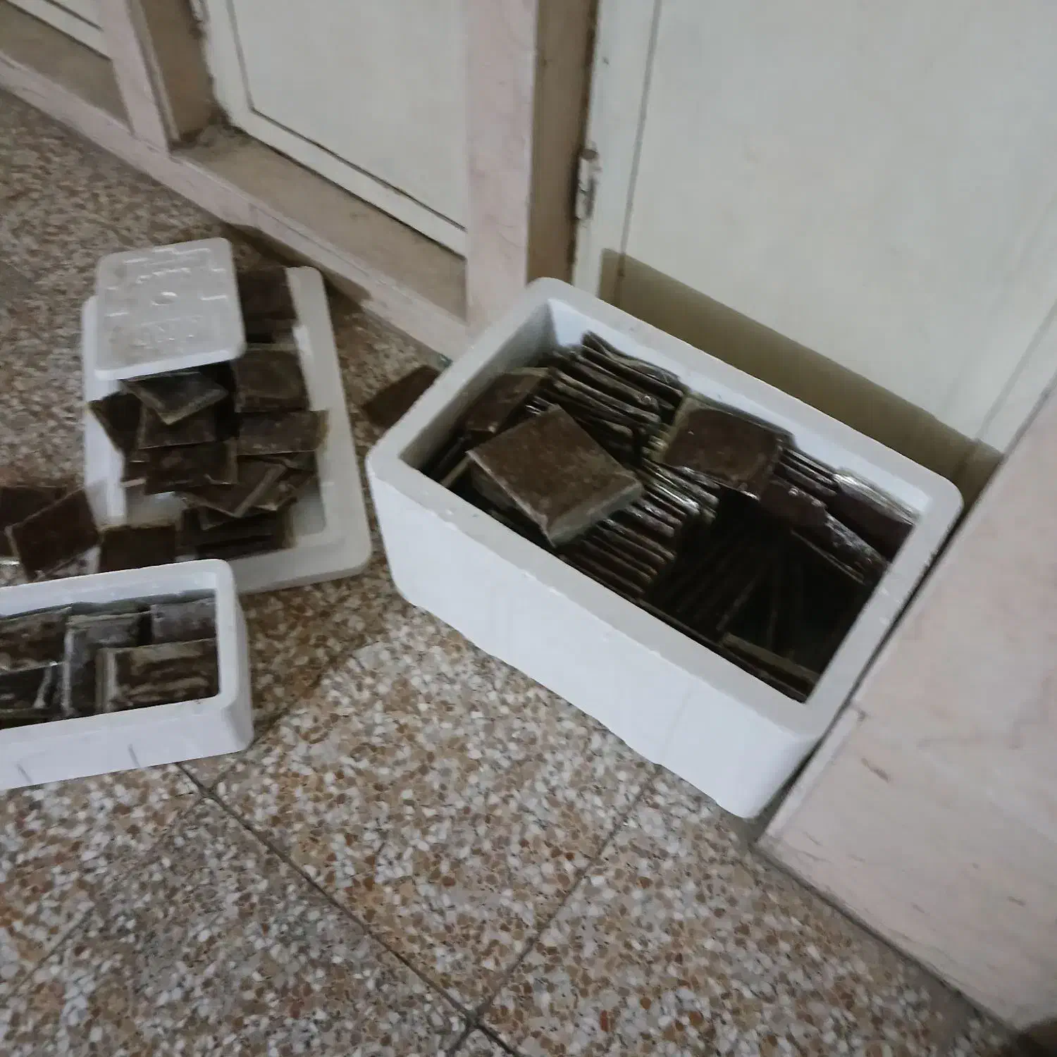 ارتمیا منجمد غذا ماهی|ماهی|اسلامشهر, شهرک واوان|دیوار