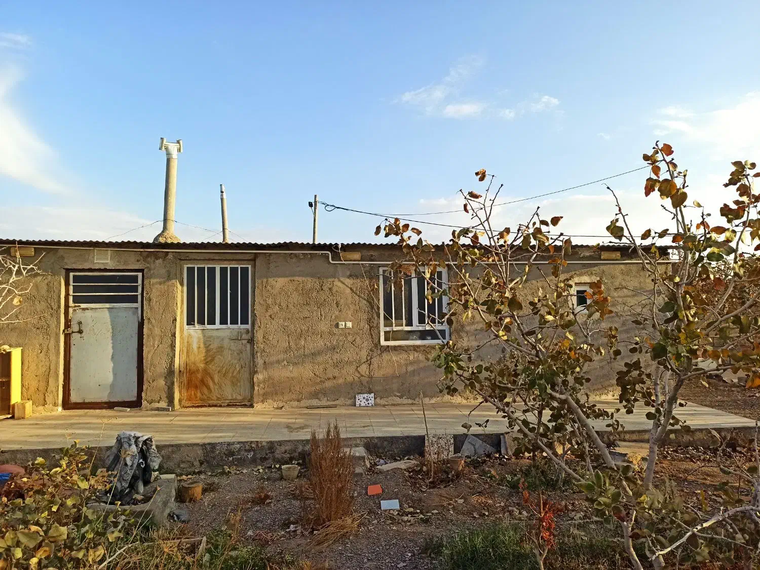 باغ پسته با یک سویت ۴۰ متری در اسلامیه|فروش دفتر صنعتی، کشاورزی، تجاری|اسلامیه, |دیوار