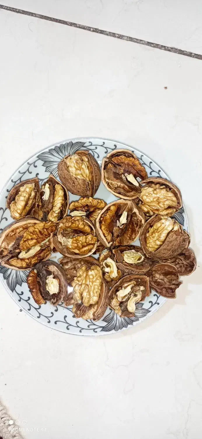 گردو|خوردنی و آشامیدنی|تهران, خاک سفید|دیوار